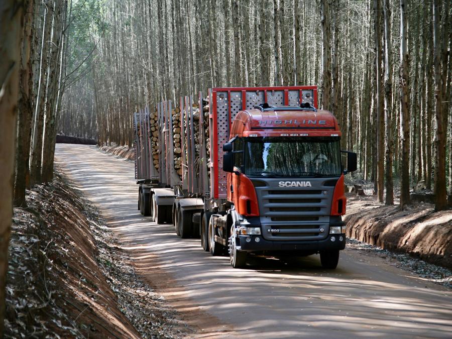  Scania R500 6x2 Highline Timber Truck 2004 года  (фото 1 из 2)